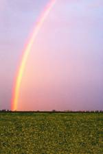 sexual abuse counseling sexual abuse counseling